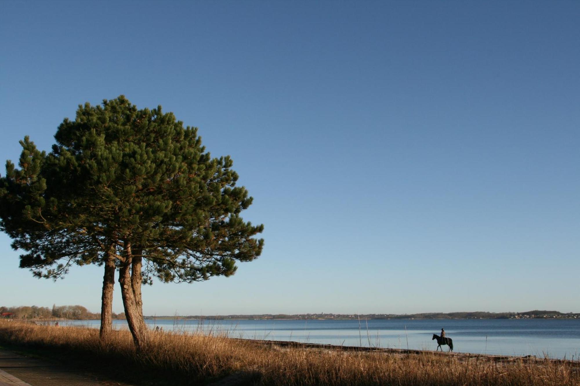Ostsee-Strandhaus-Holnis Glücksburg Esterno foto